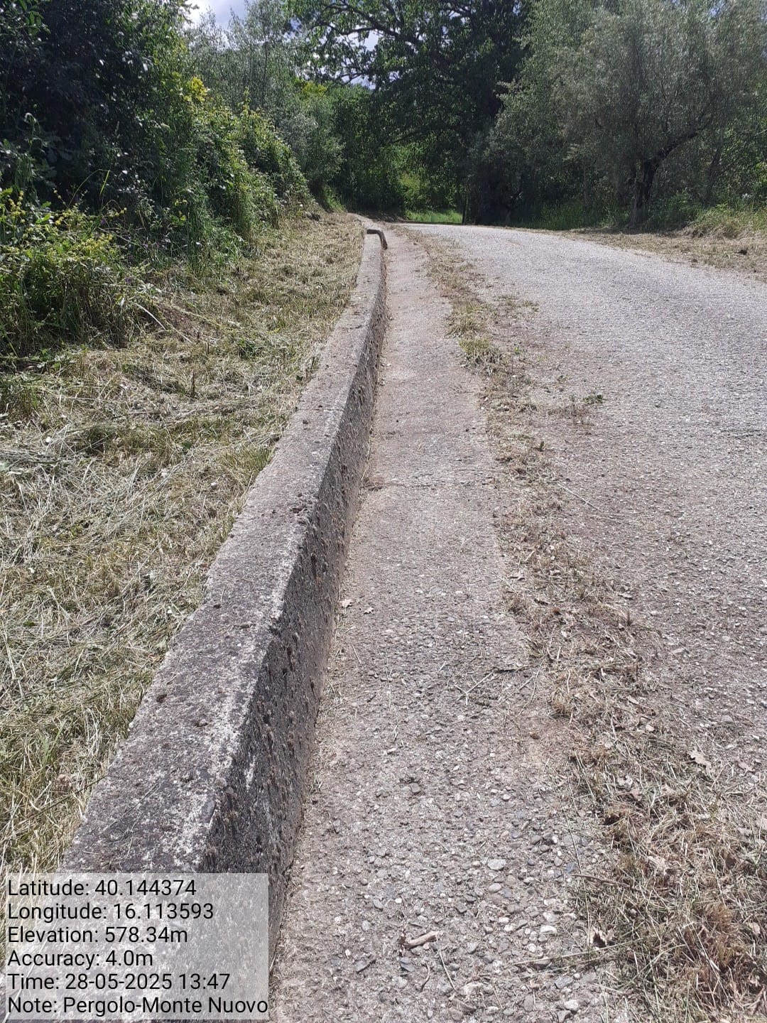 Galleria Fotografica Immagine