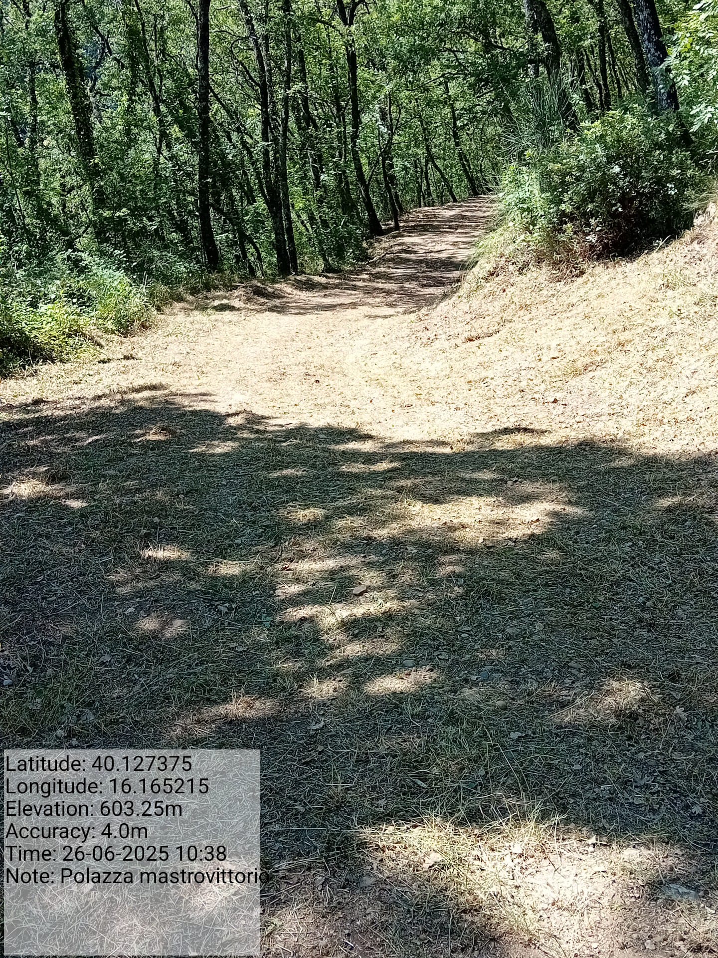 Galleria Fotografica Immagine