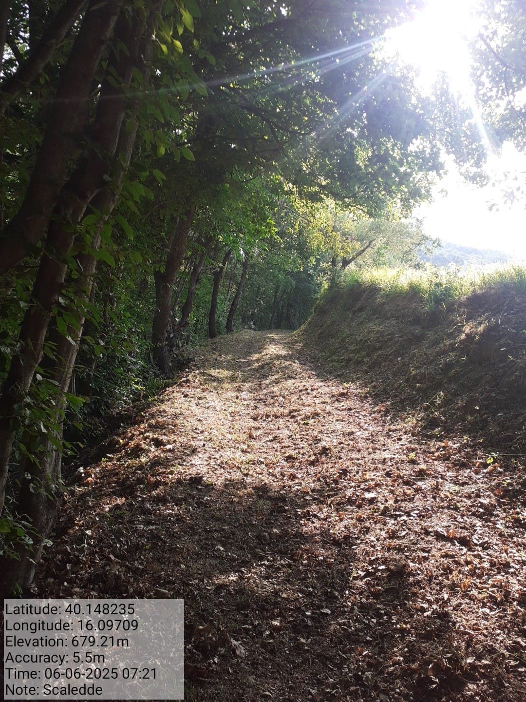 Galleria Fotografica Immagine