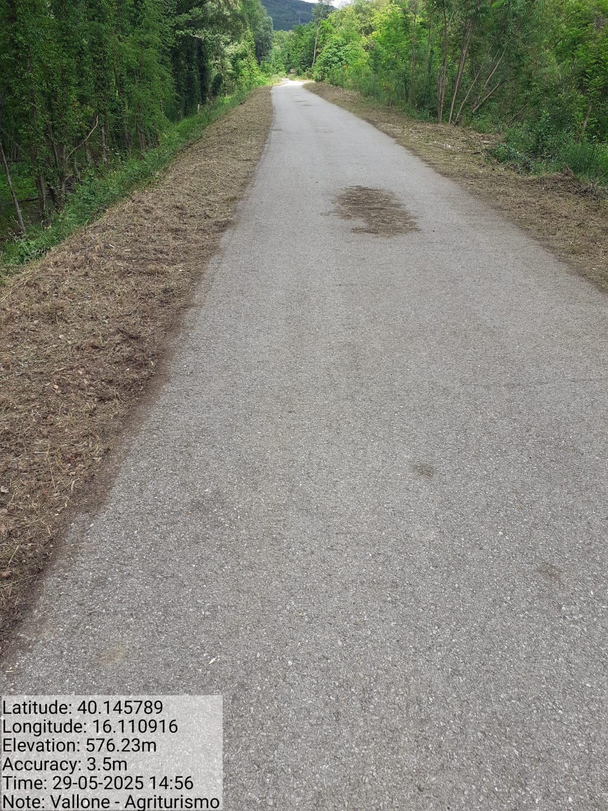 Galleria Fotografica Immagine