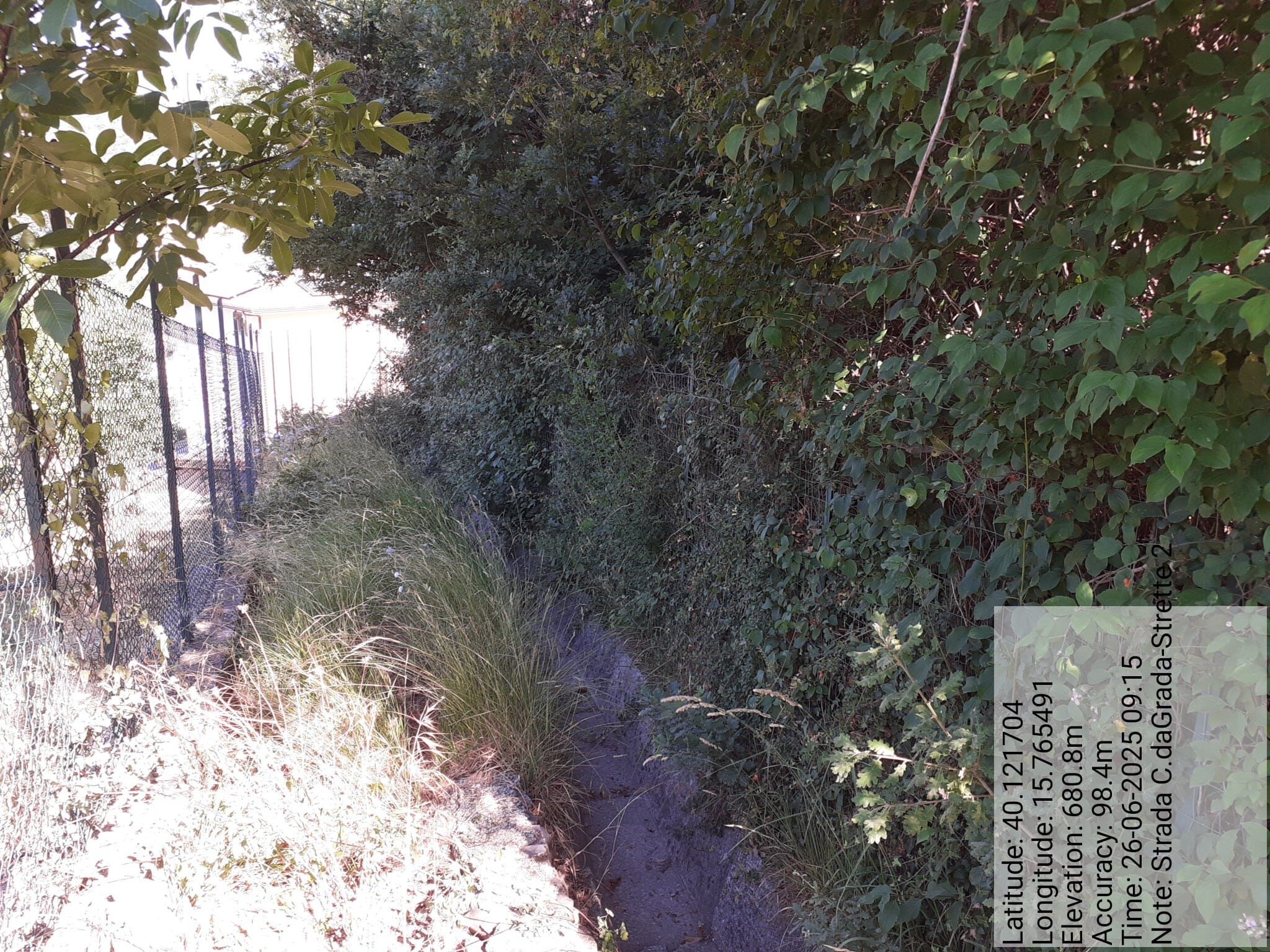 Galleria Fotografica Immagine