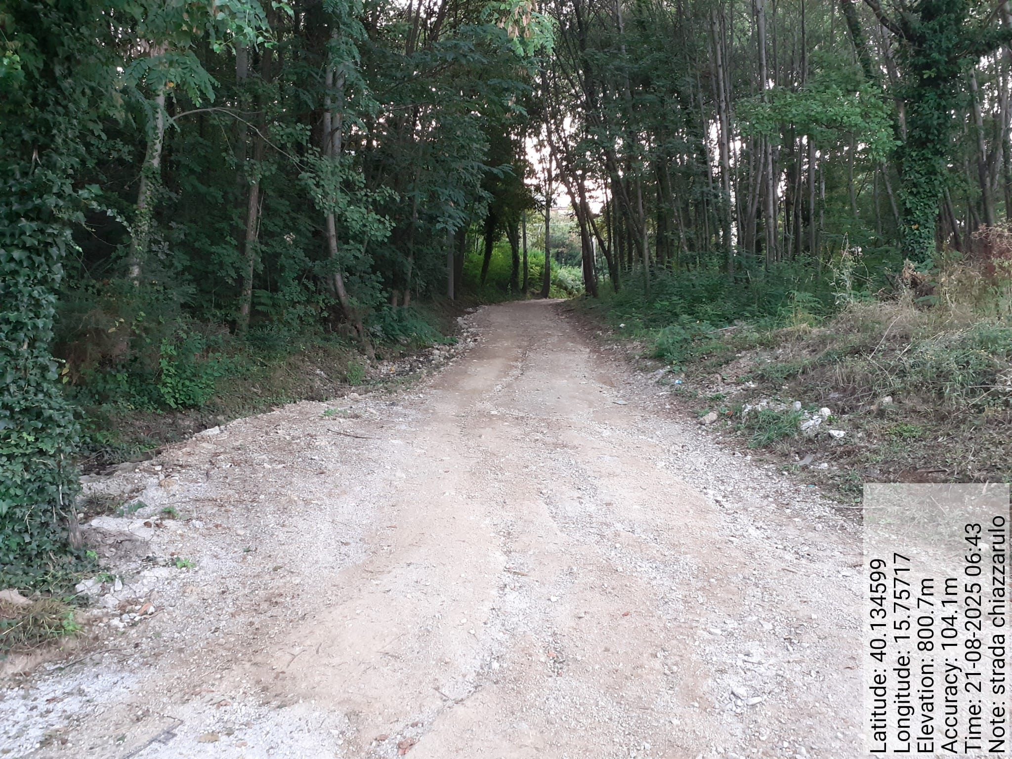 Galleria Fotografica Immagine