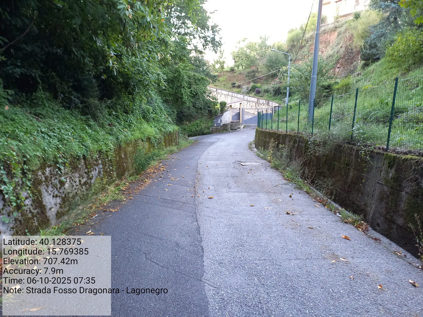 Galleria Fotografica Immagine