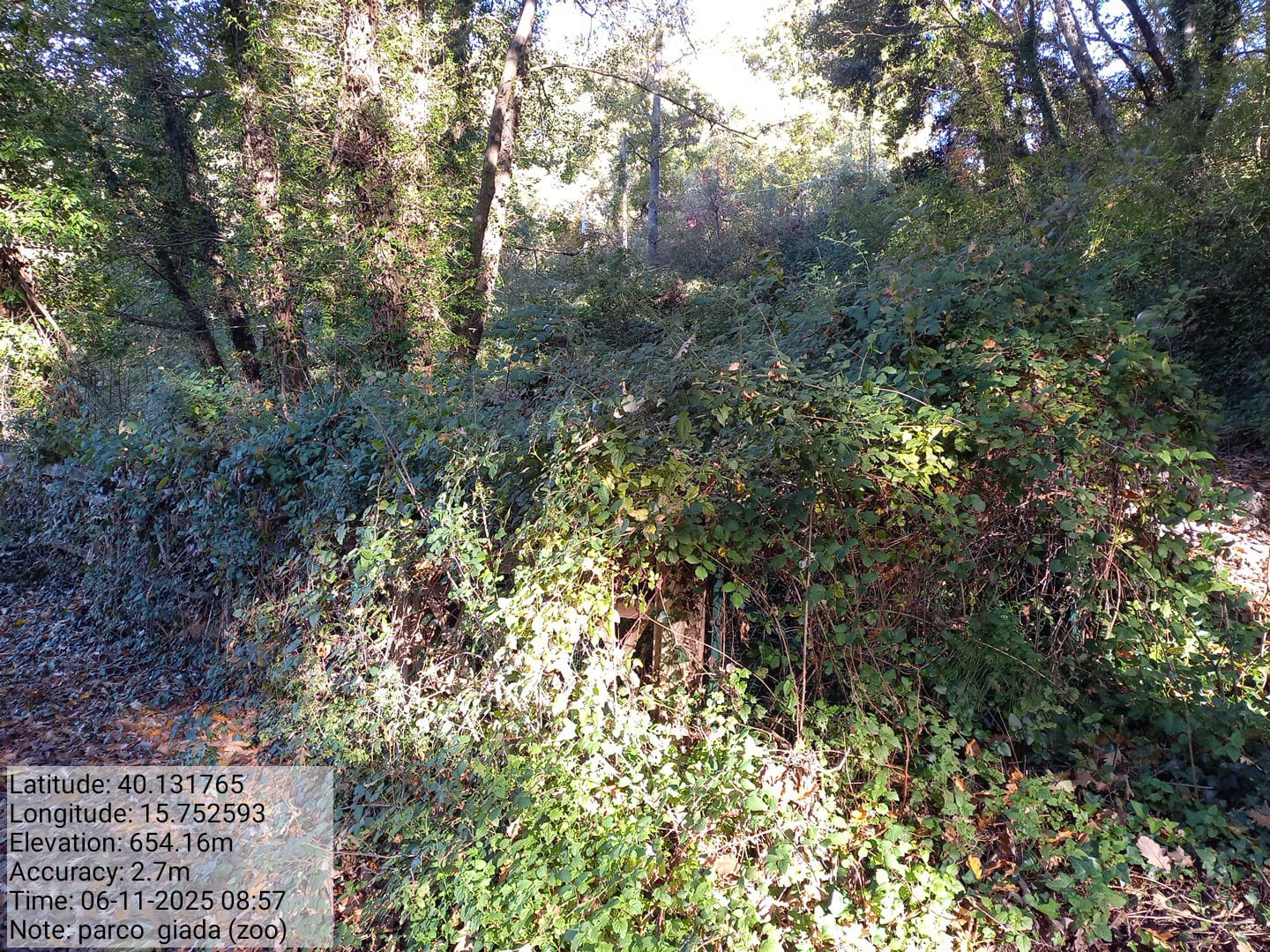 Galleria Fotografica Immagine