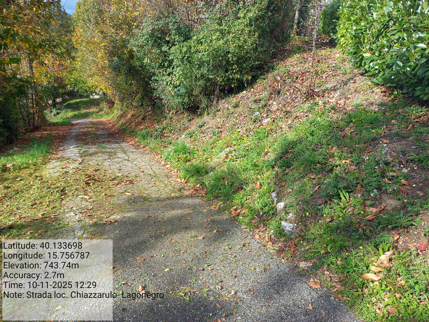 Galleria Fotografica Immagine