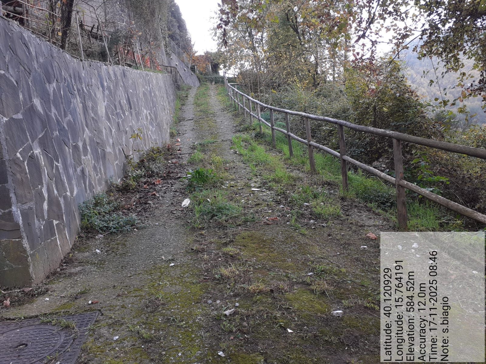 Galleria Fotografica Immagine