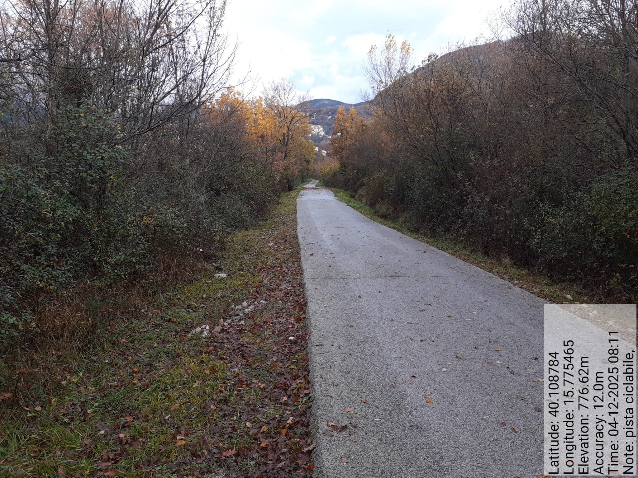 Galleria Fotografica Immagine