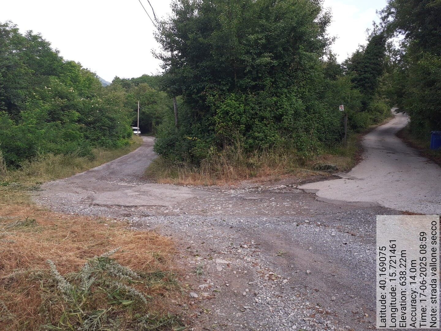 Galleria Fotografica Immagine