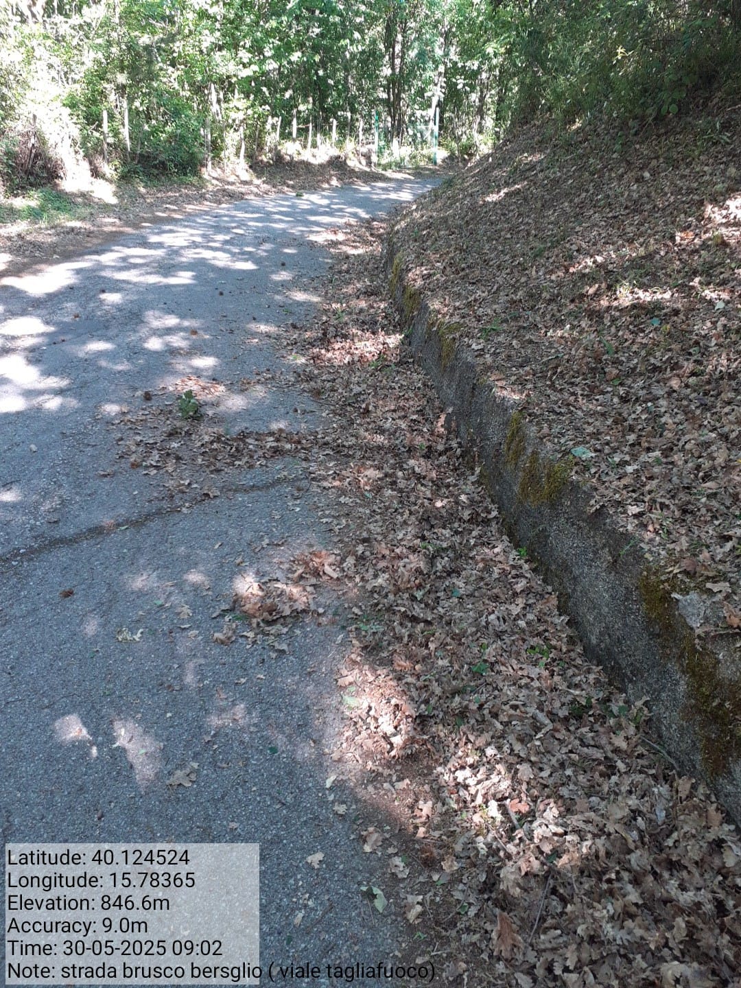 Galleria Fotografica Immagine