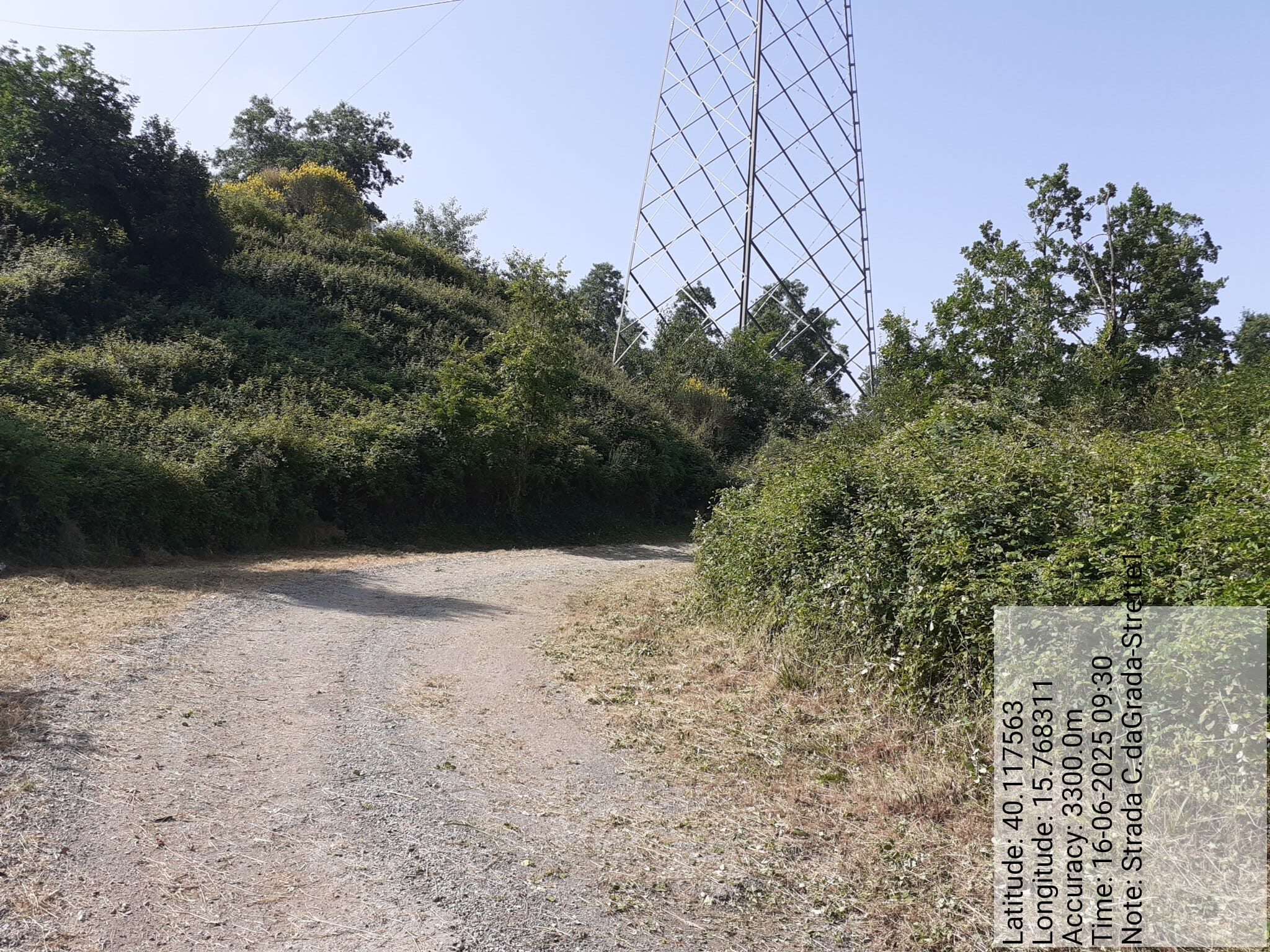 Galleria Fotografica Immagine