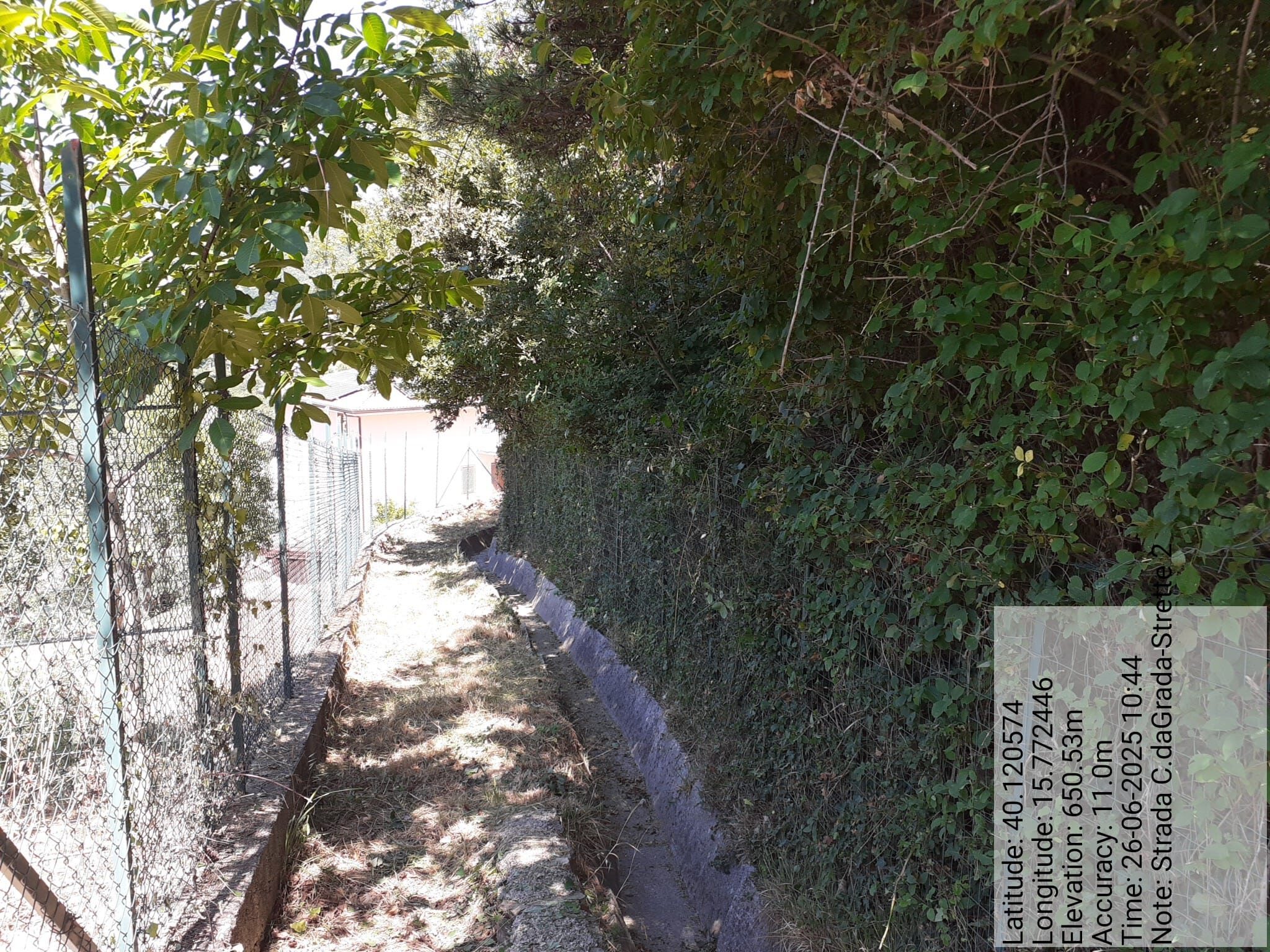 Galleria Fotografica Immagine