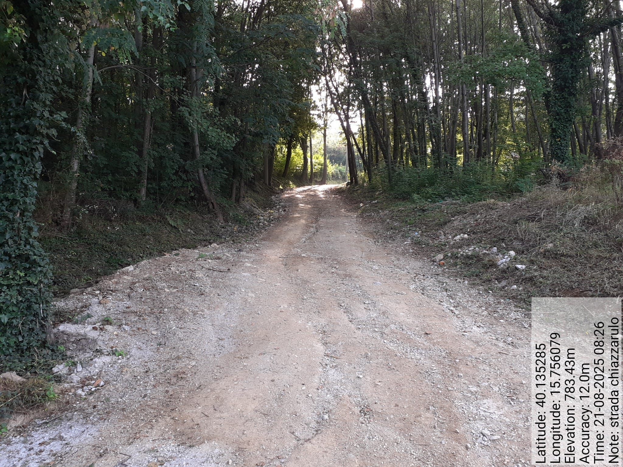 Galleria Fotografica Immagine