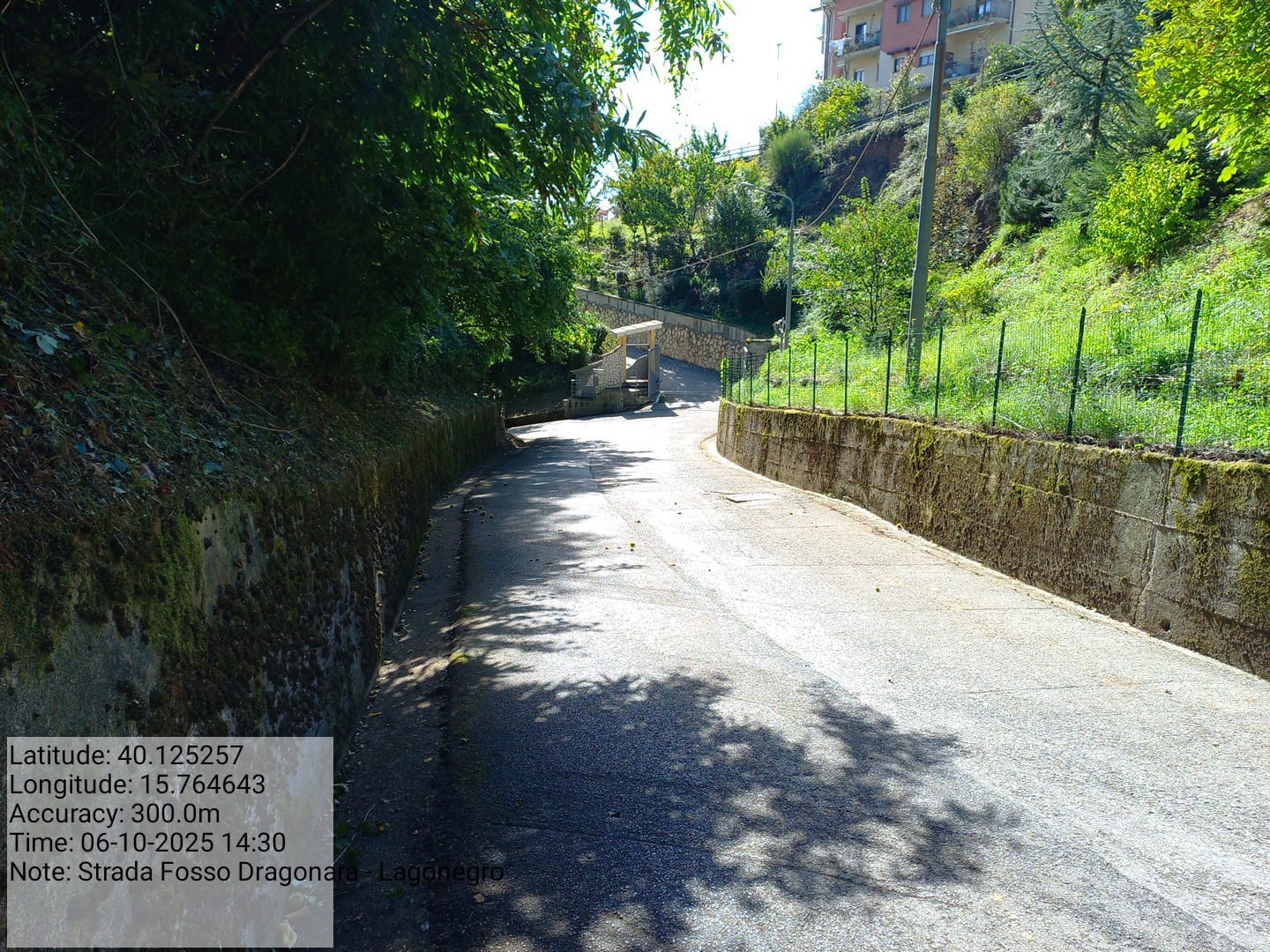 Galleria Fotografica Immagine