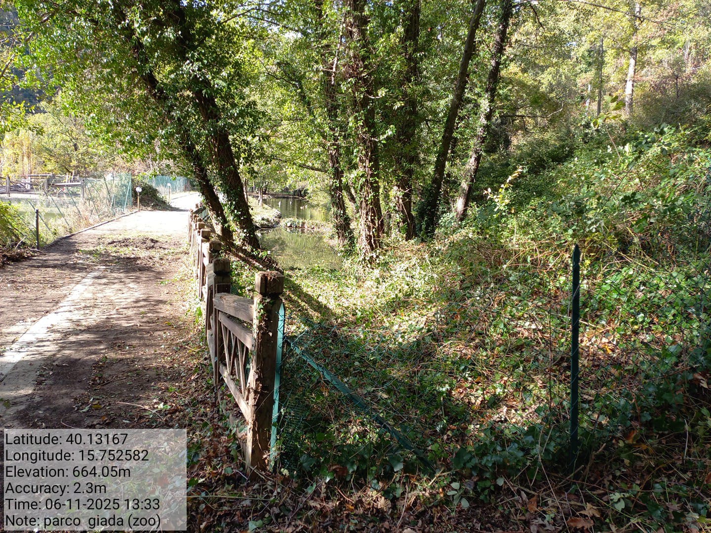 Galleria Fotografica Immagine