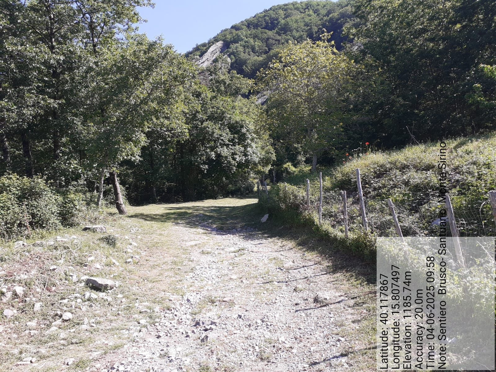 Galleria Fotografica Immagine