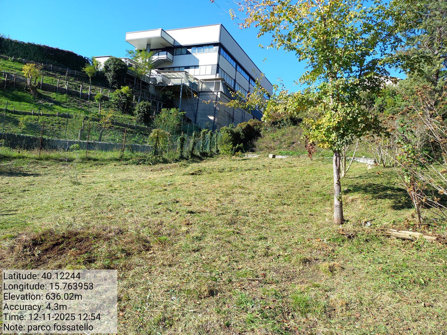 Galleria Fotografica Immagine