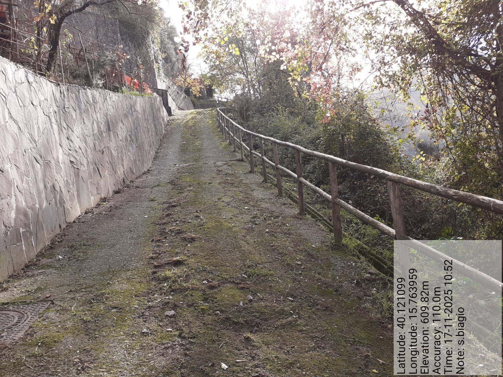 Galleria Fotografica Immagine