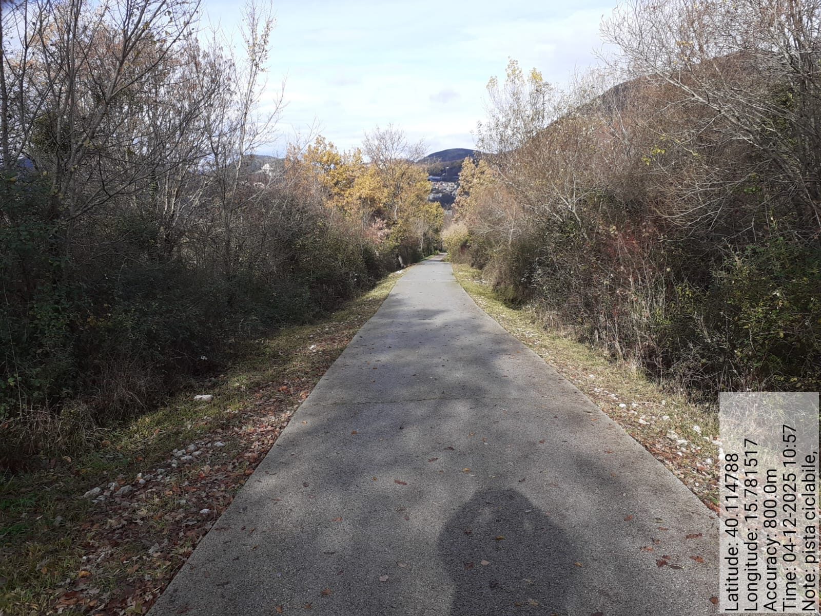 Galleria Fotografica Immagine