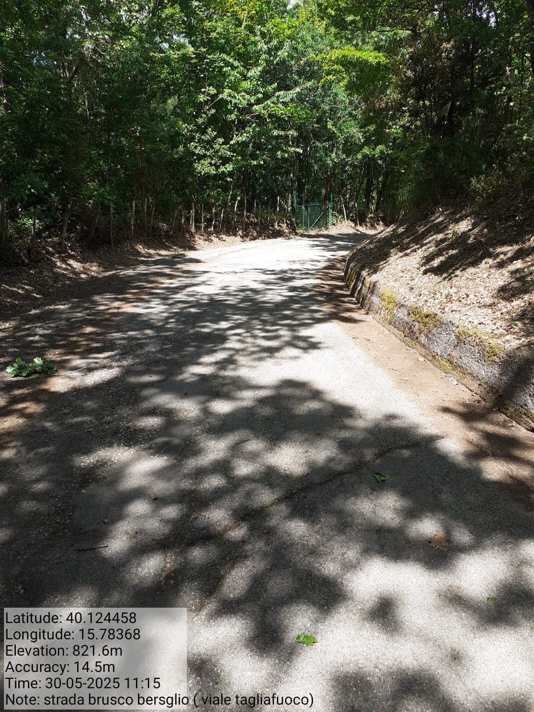 Galleria Fotografica Immagine