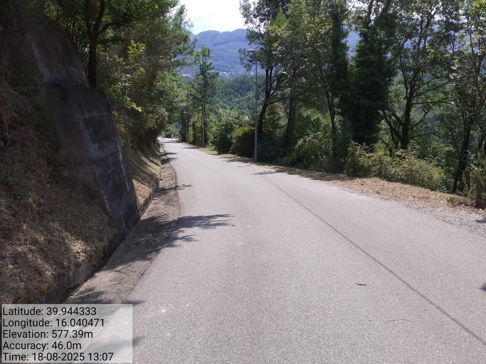 Galleria Fotografica Immagine