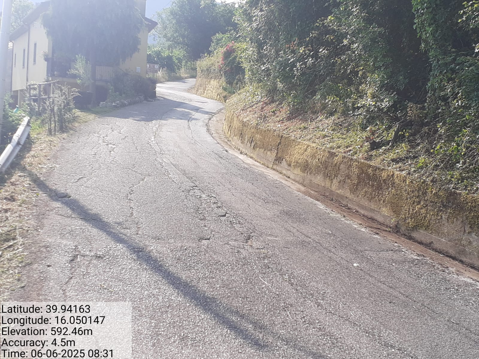 Galleria Fotografica Immagine