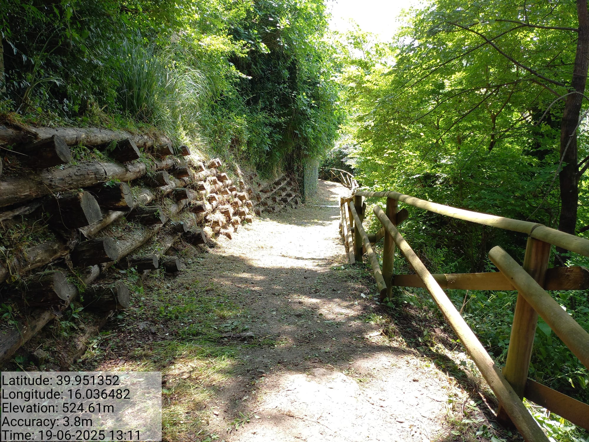 Galleria Fotografica Immagine