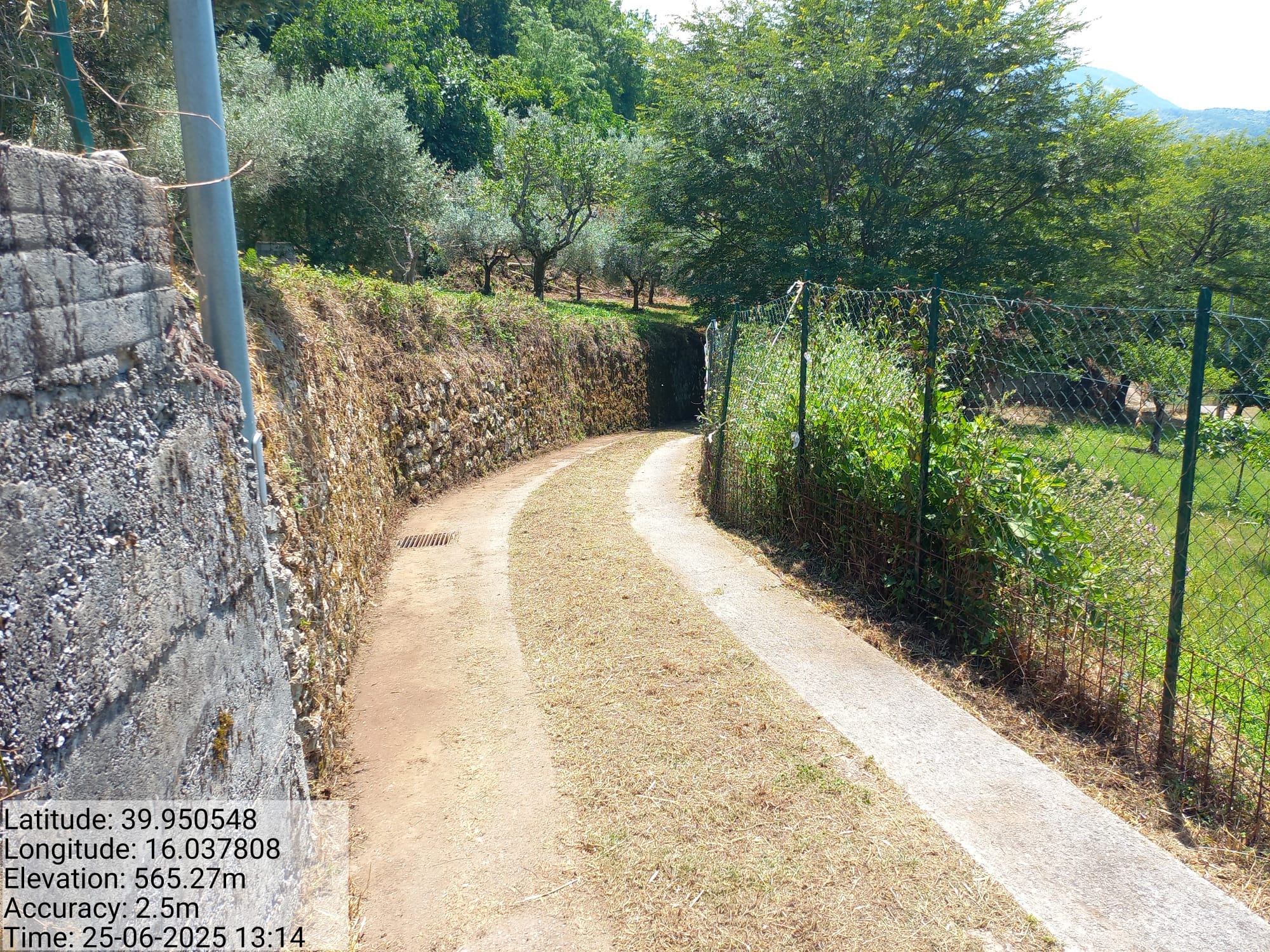 Galleria Fotografica Immagine