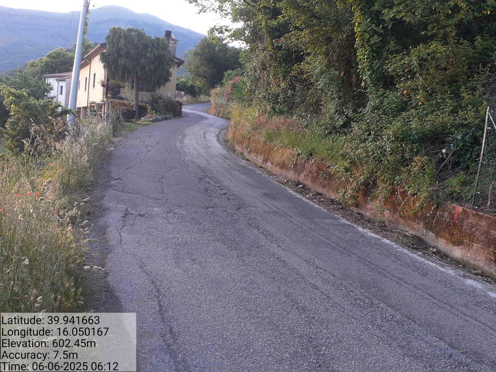 Galleria Fotografica Immagine