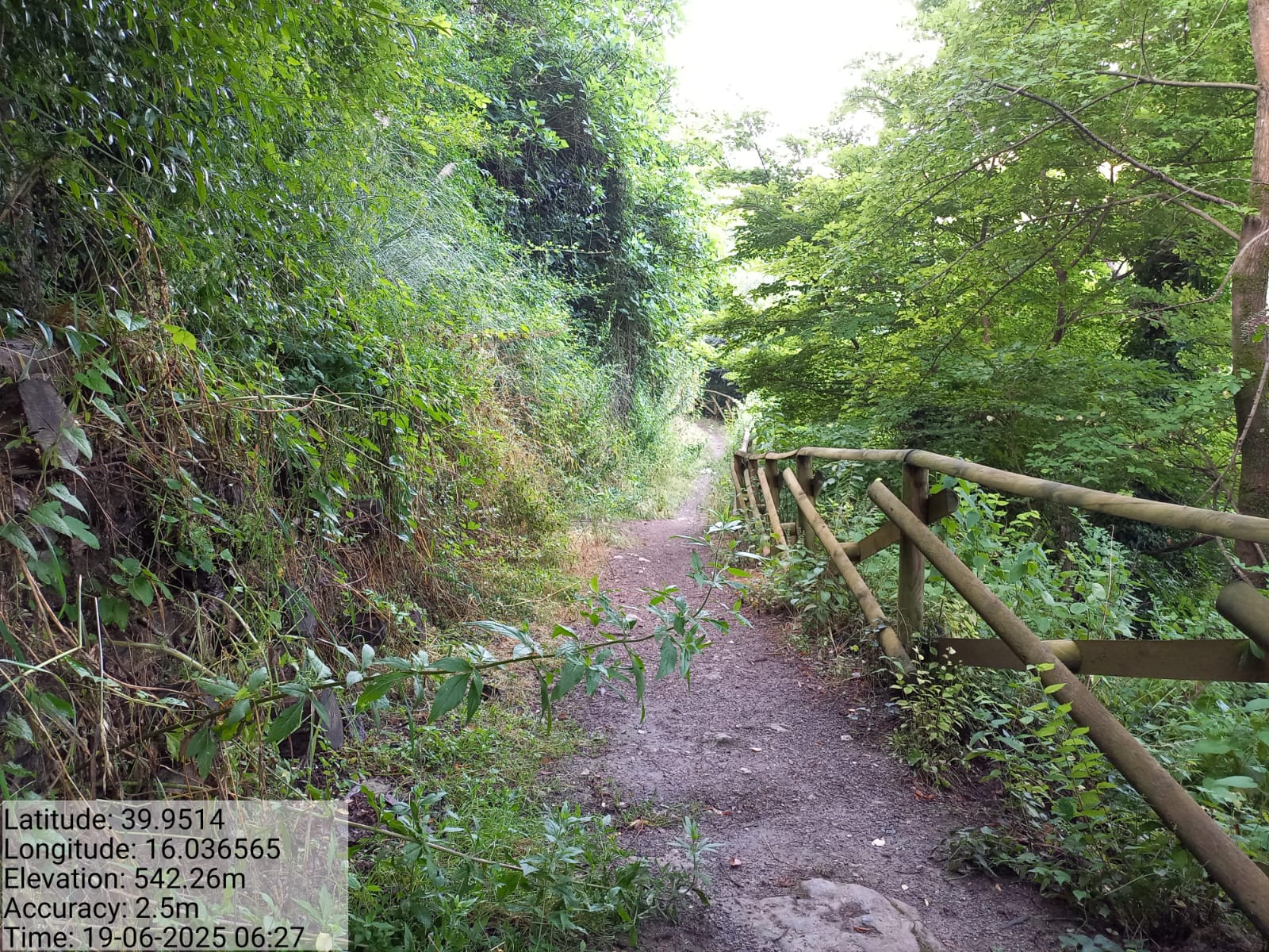 Galleria Fotografica Immagine