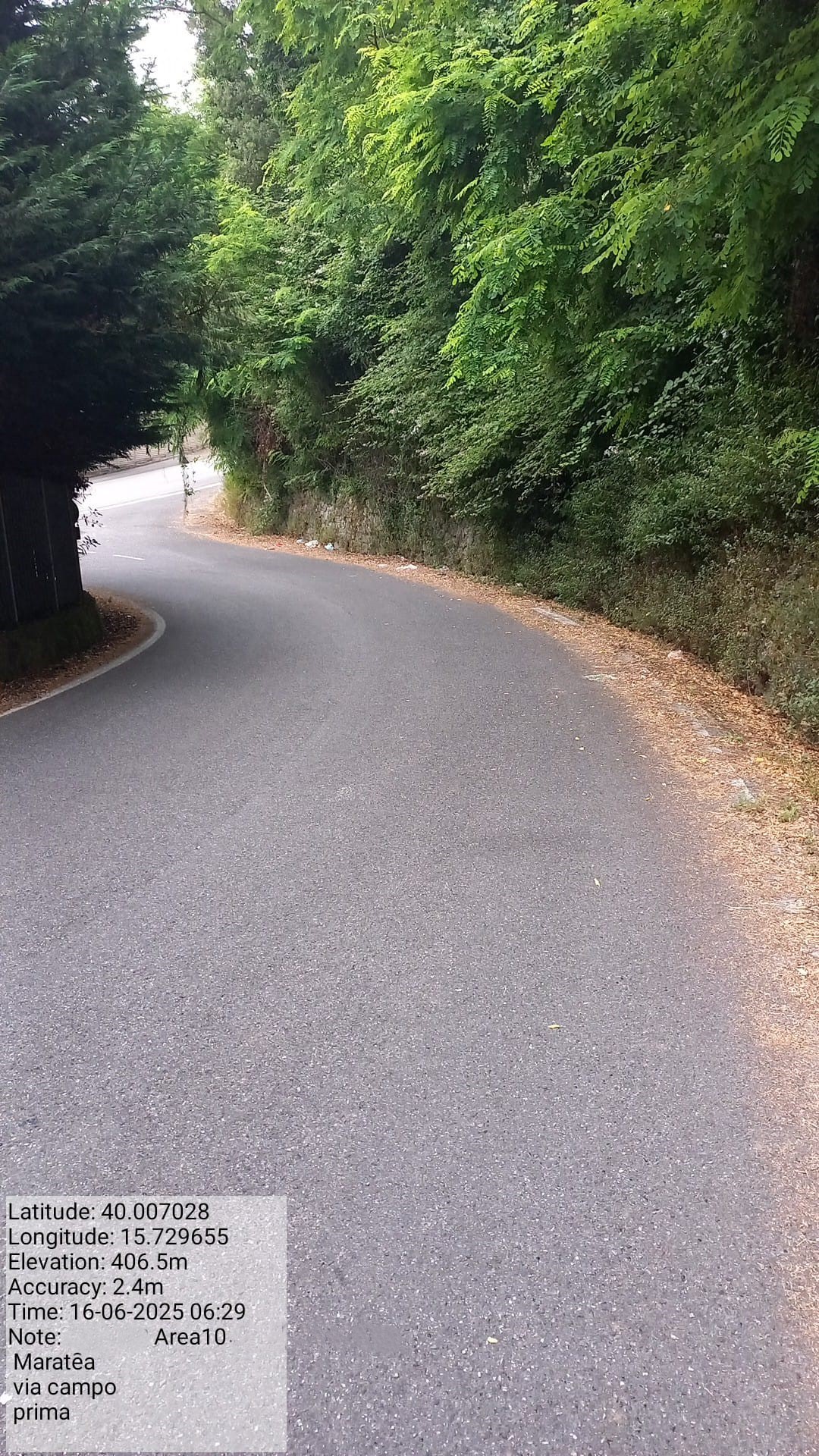 Galleria Fotografica Immagine