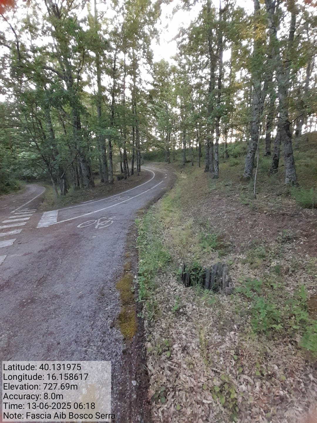 Galleria Fotografica Immagine