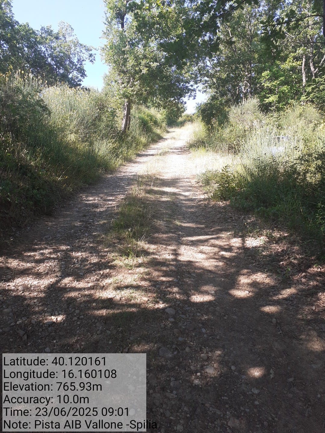 Galleria Fotografica Immagine