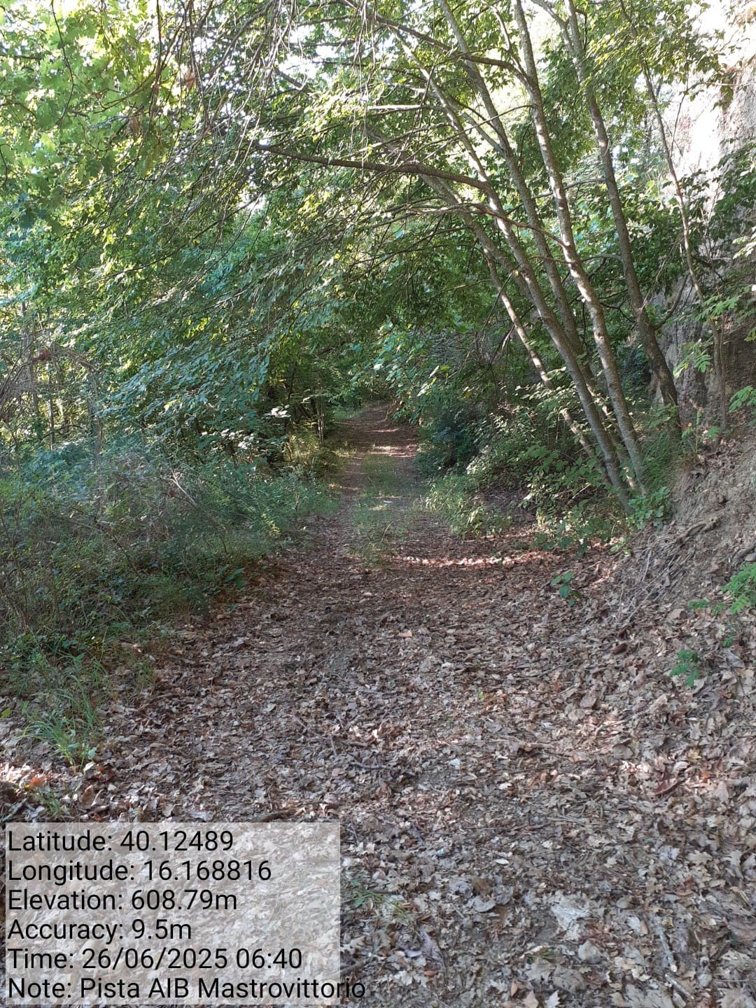 Galleria Fotografica Immagine