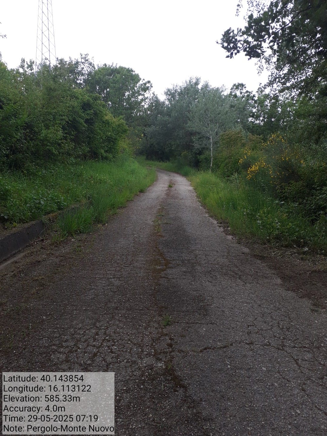 Galleria Fotografica Immagine