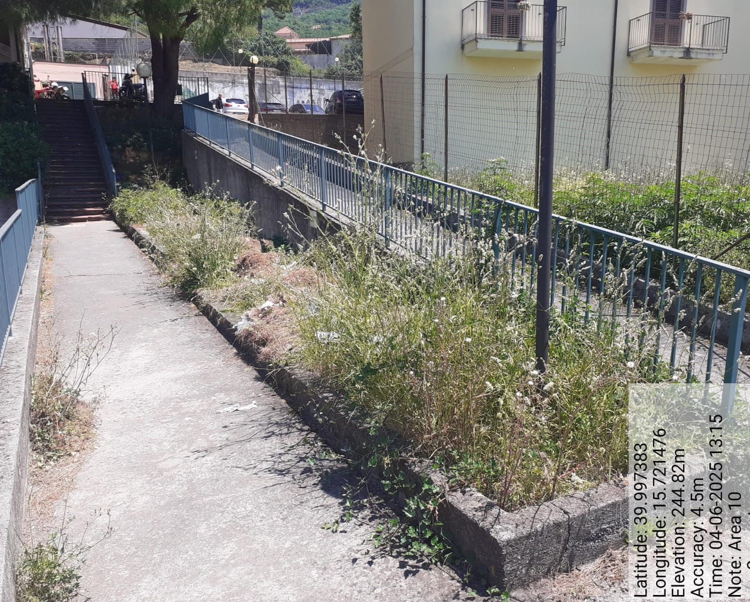 Galleria Fotografica Immagine