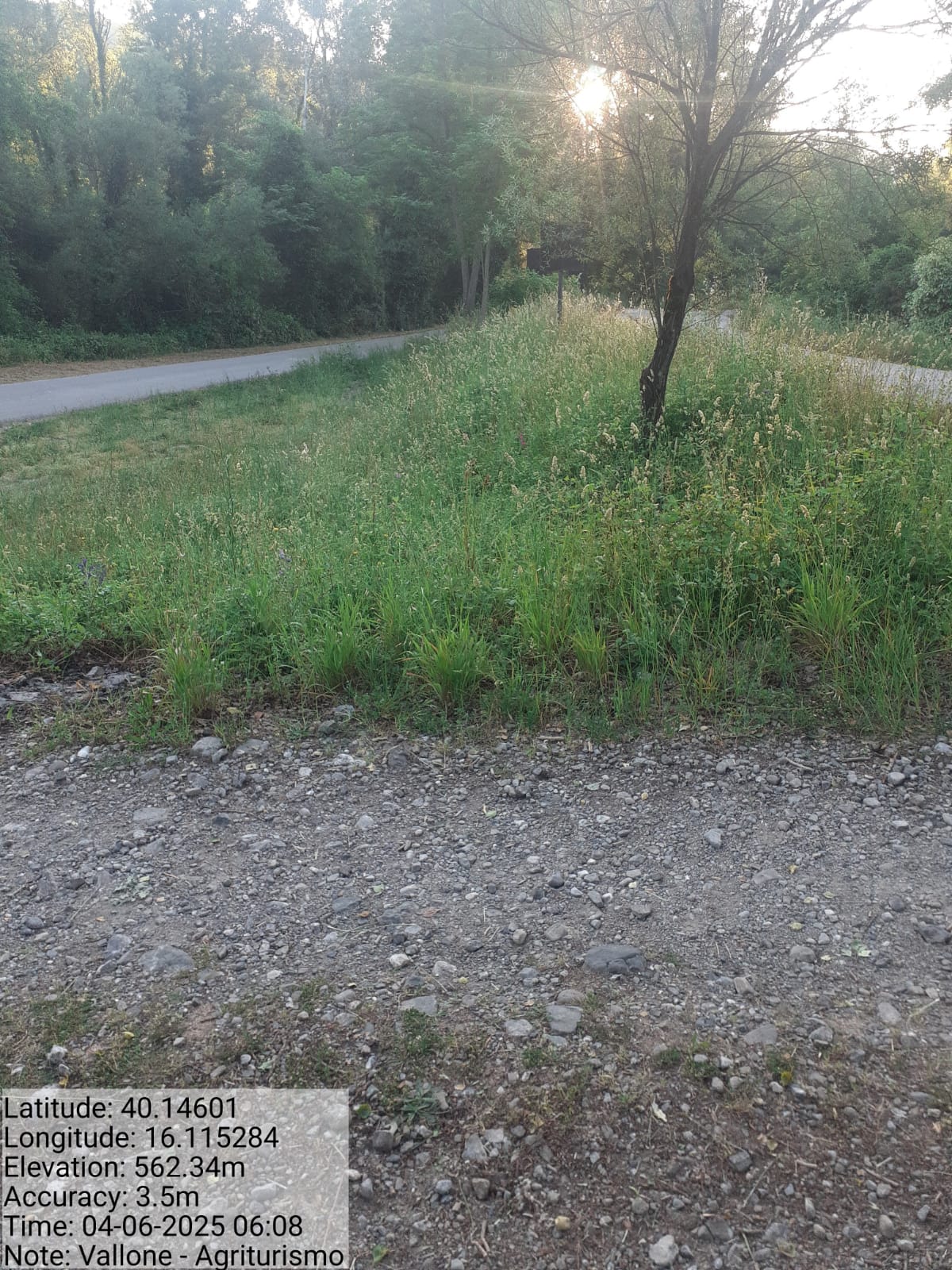 Galleria Fotografica Immagine