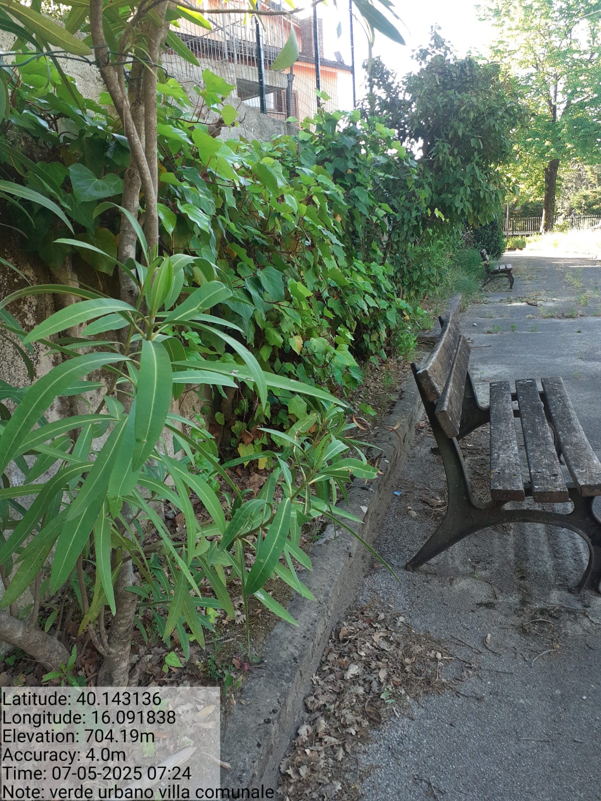 Galleria Fotografica Immagine