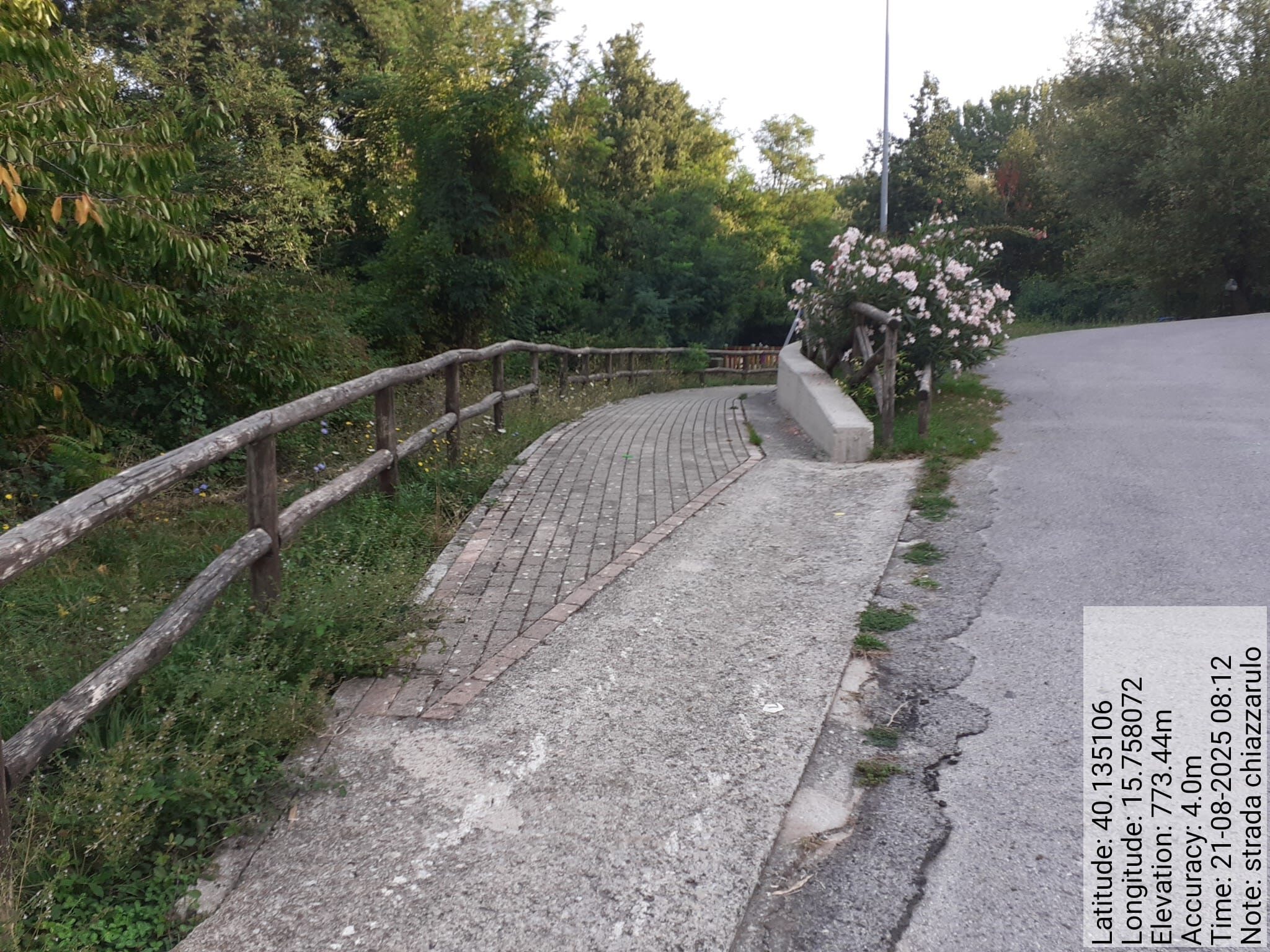 Galleria Fotografica Immagine