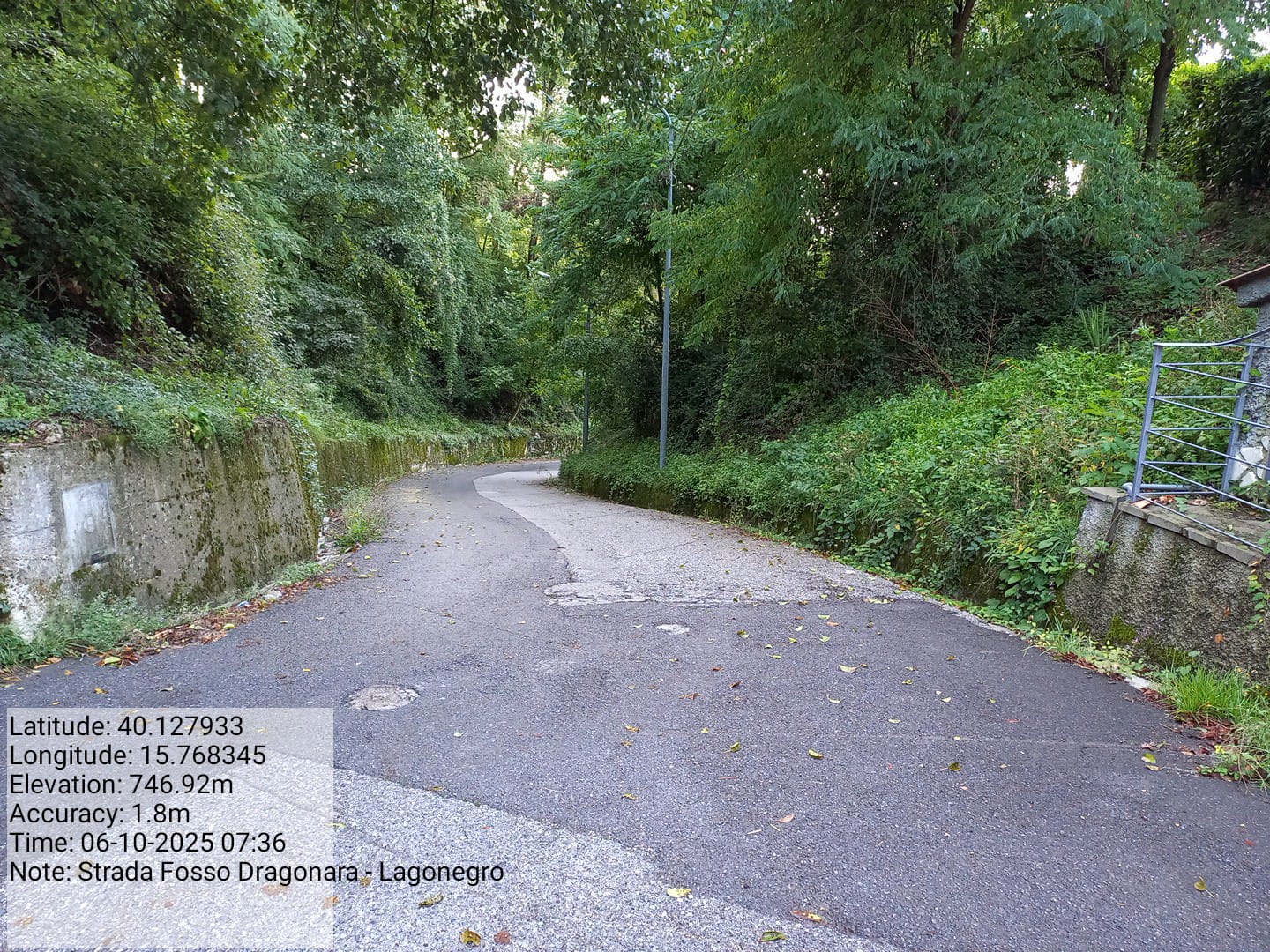 Galleria Fotografica Immagine