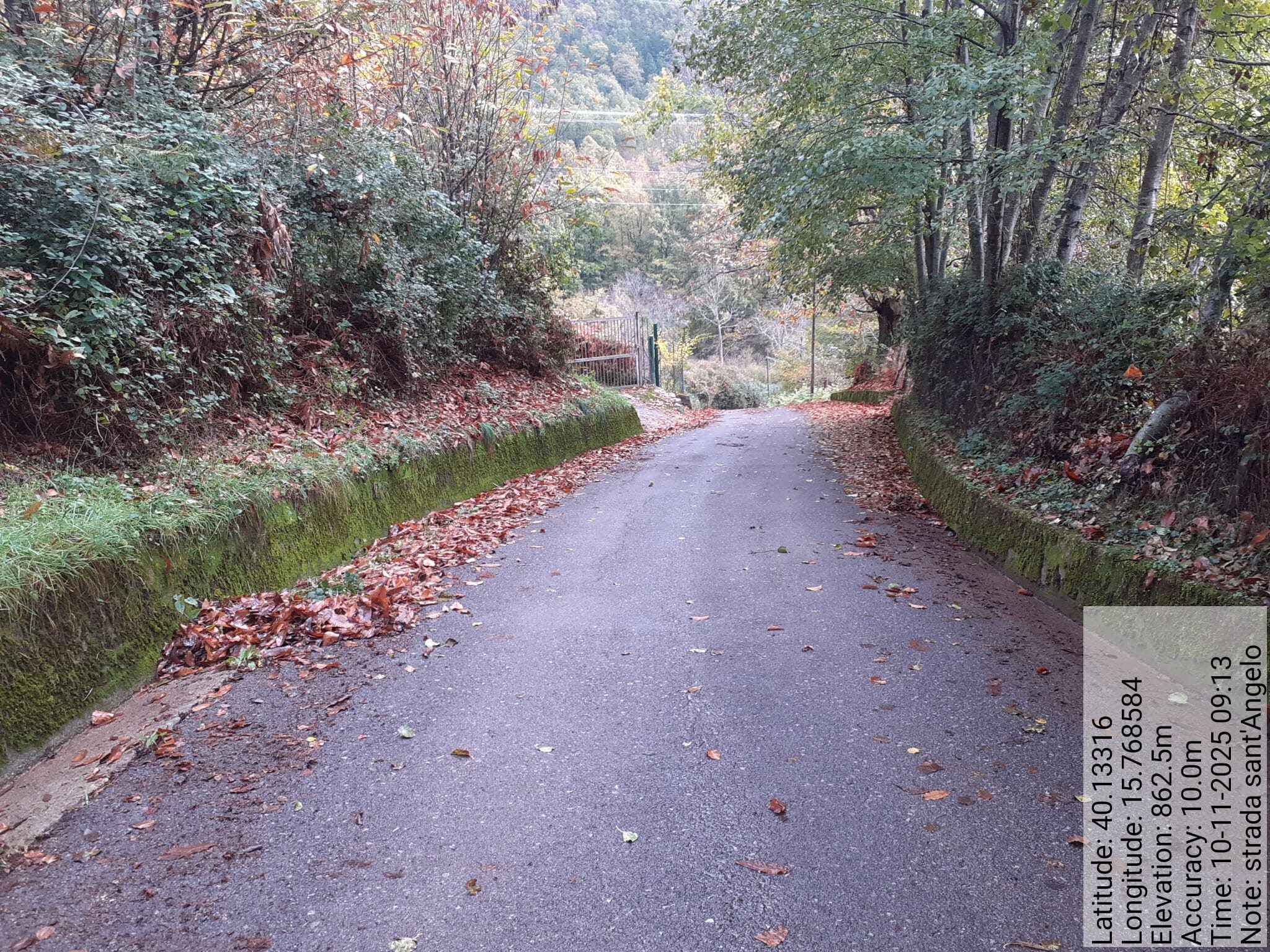 Galleria Fotografica Immagine