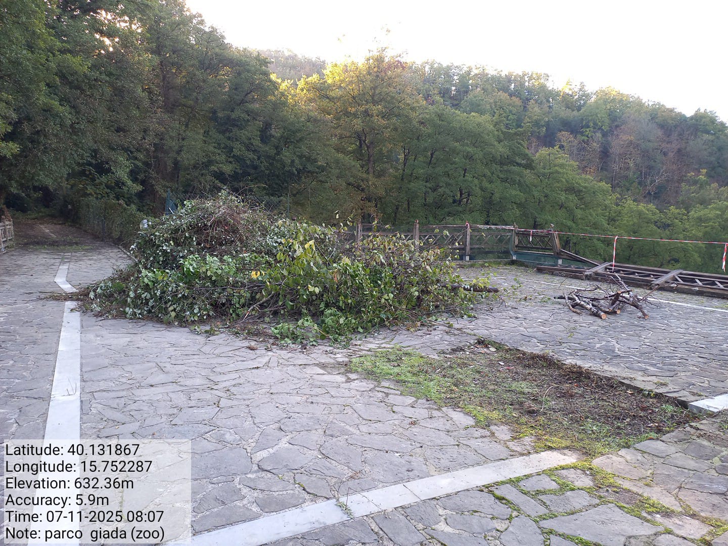 Galleria Fotografica Immagine