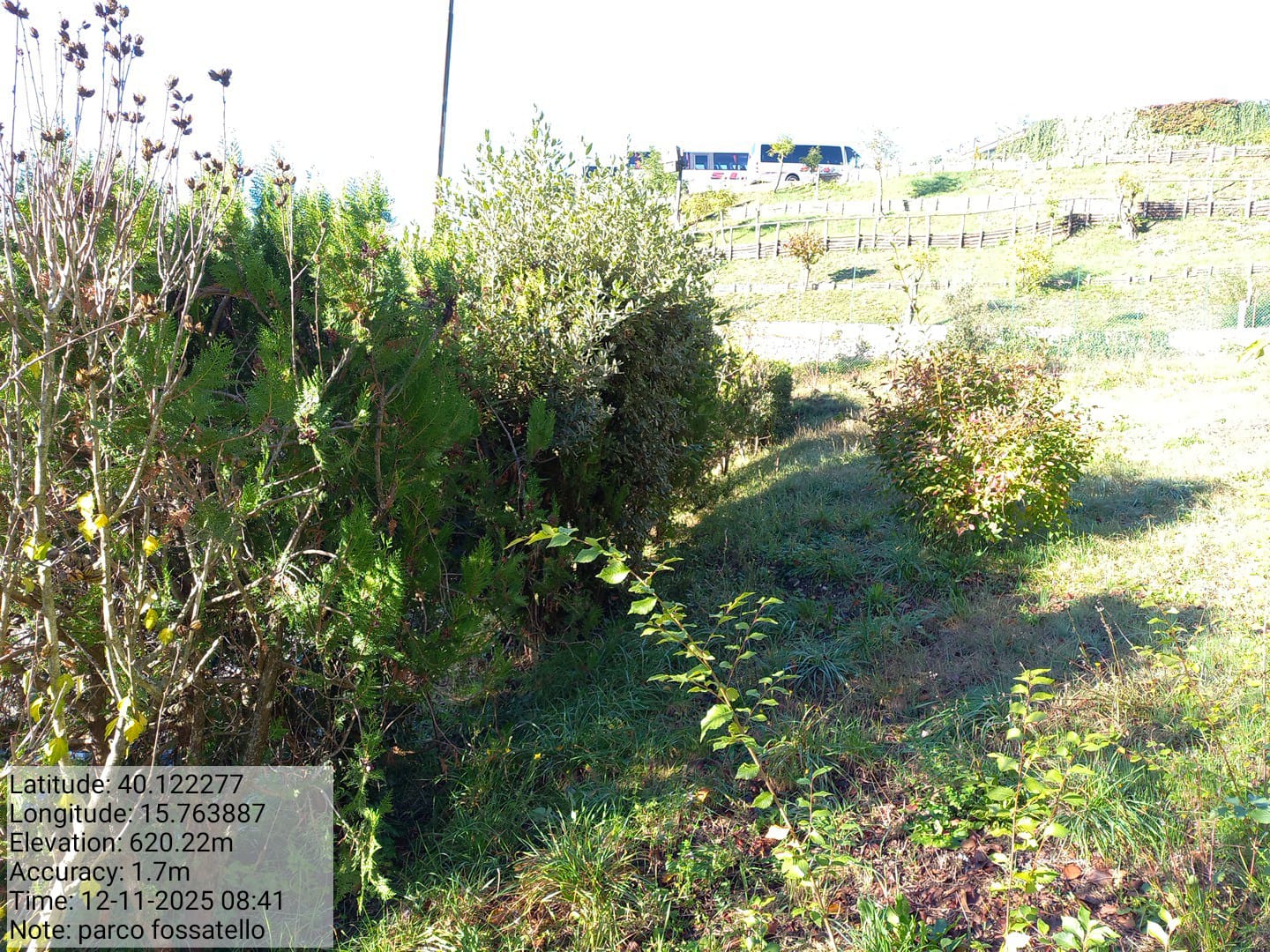 Galleria Fotografica Immagine