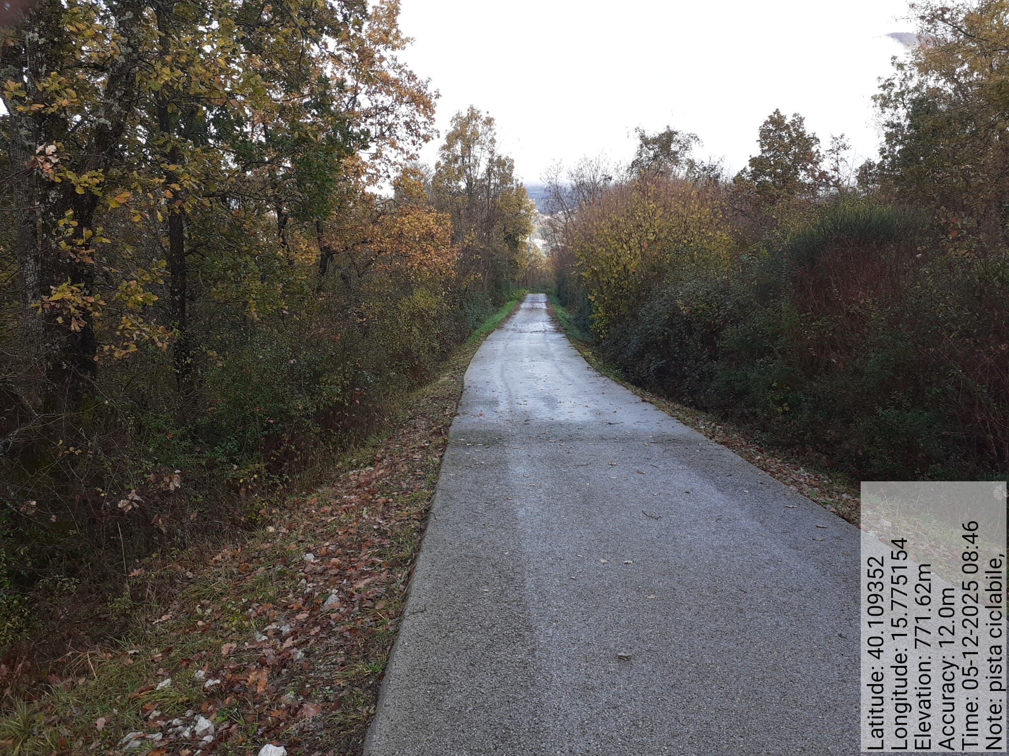 Galleria Fotografica Immagine