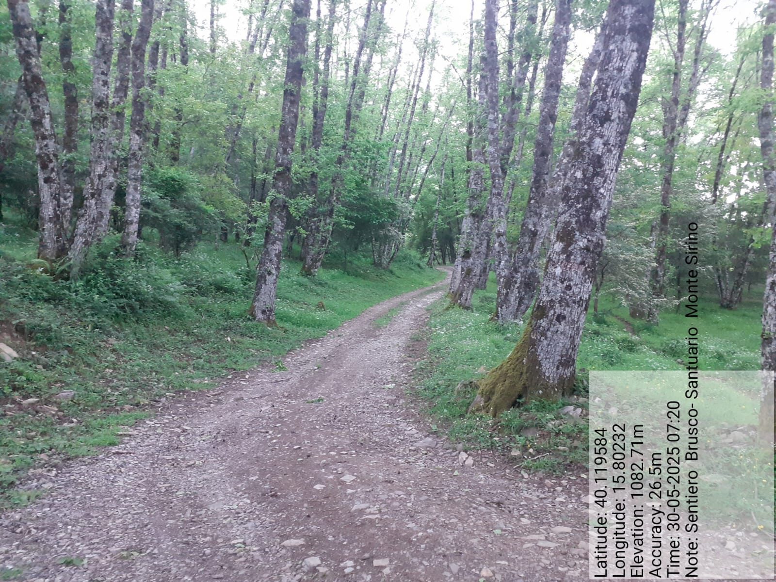 Galleria Fotografica Immagine