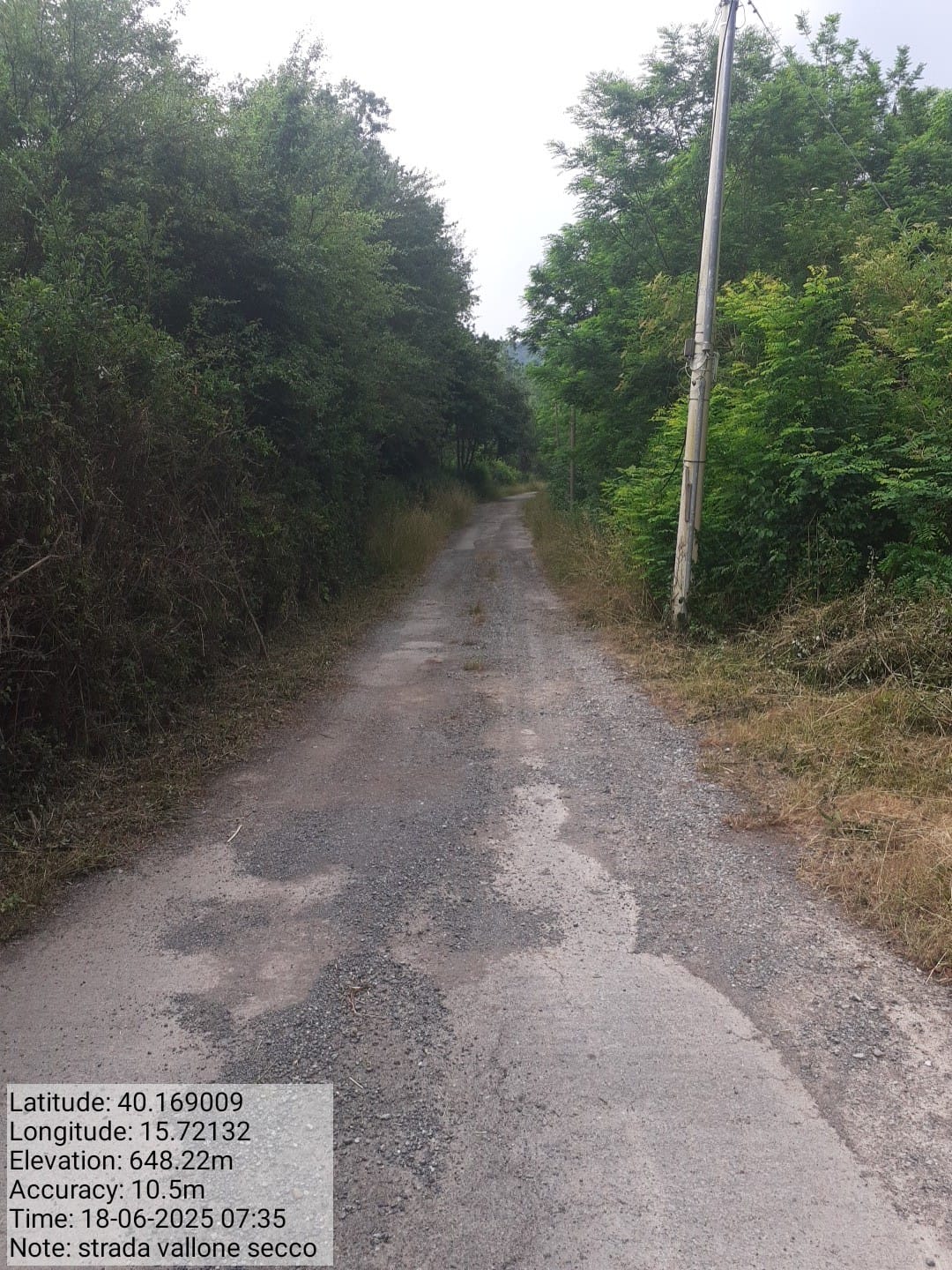 Galleria Fotografica Immagine