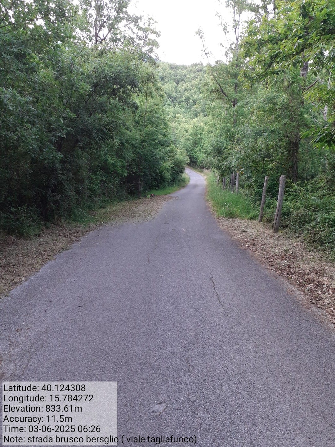 Galleria Fotografica Immagine