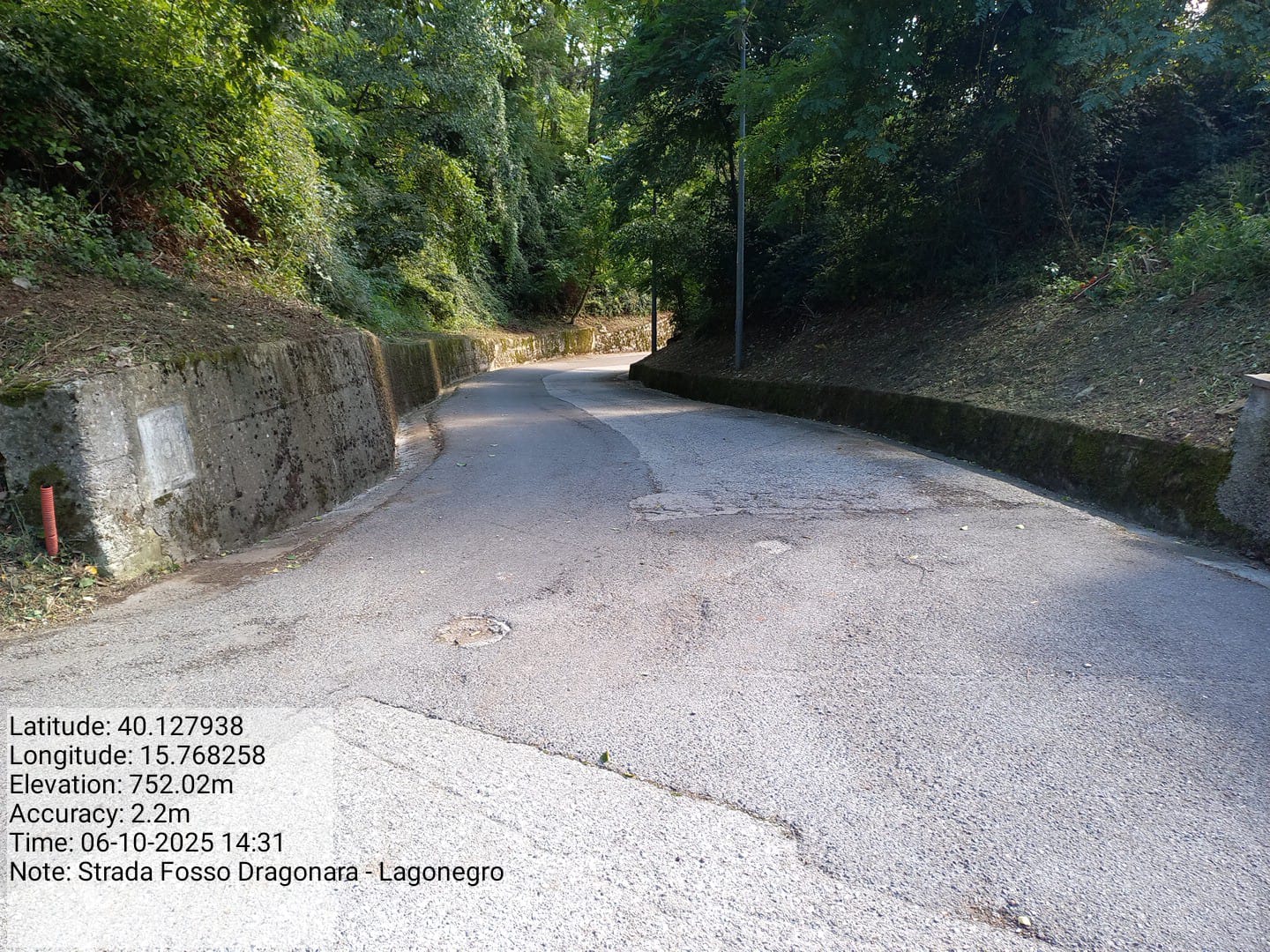 Galleria Fotografica Immagine