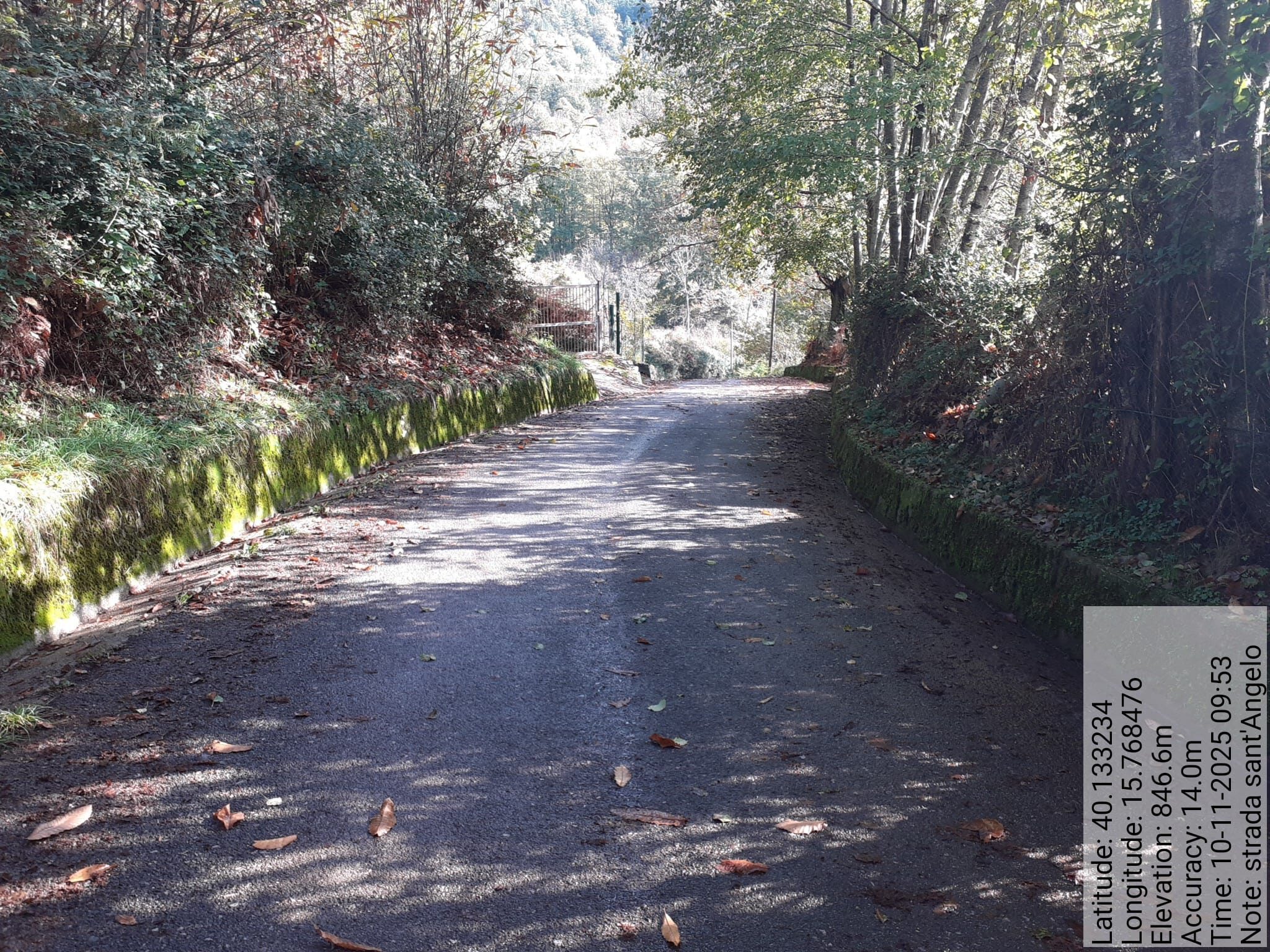 Galleria Fotografica Immagine