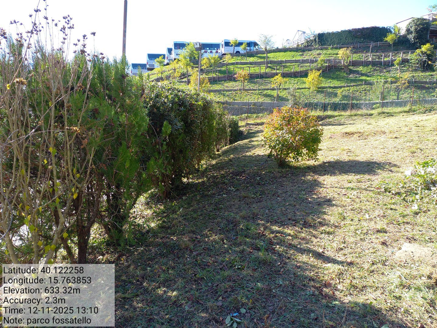 Galleria Fotografica Immagine