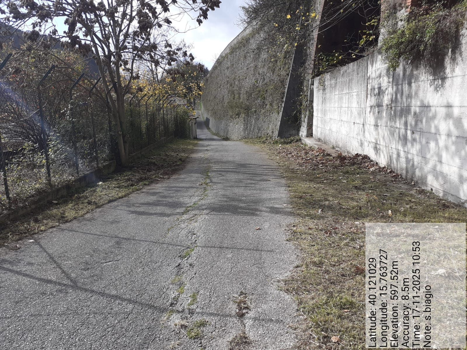 Galleria Fotografica Immagine